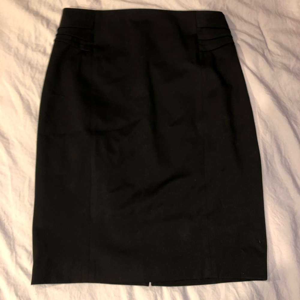 Express Dress Skirt